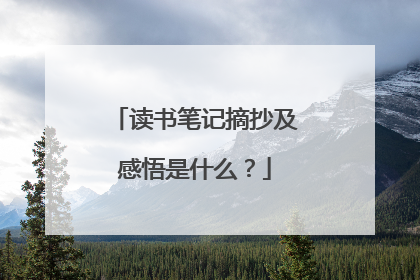 读书笔记摘抄及感悟是什么？