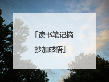 读书笔记摘抄加感悟