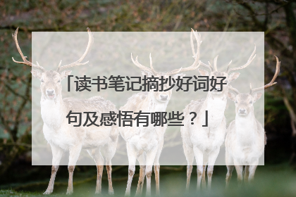 读书笔记摘抄好词好句及感悟有哪些？