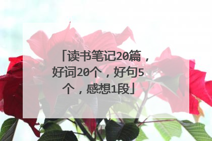 读书笔记20篇,好词20个,好句5个,感想1段