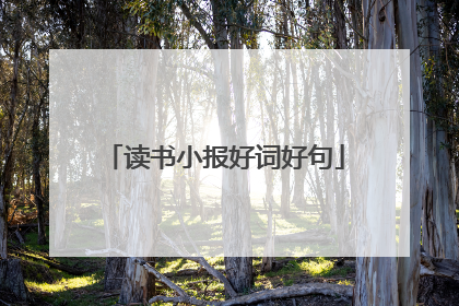 读书小报好词好句