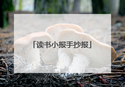 读书小报手抄报