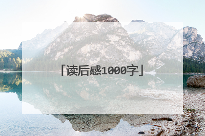 读后感1000字