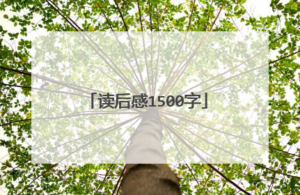 读后感1500字