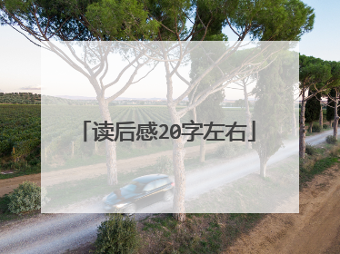 读后感20字左右