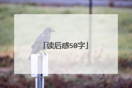 读后感50字