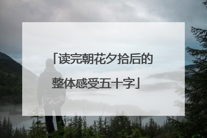 读完朝花夕拾后的整体感受五十字