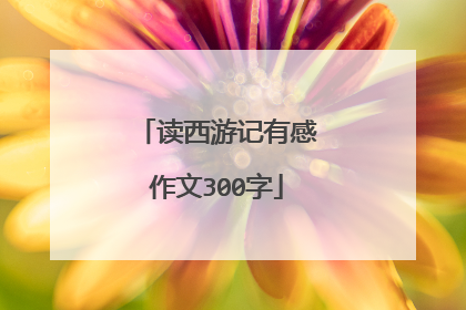 读西游记有感作文300字