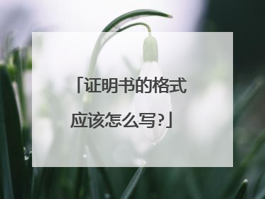 证明书的格式应该怎么写?