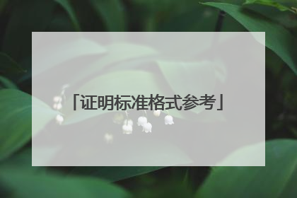 证明标准格式参考