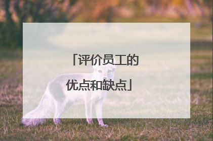 评价员工的优点和缺点