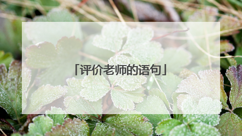 评价老师的语句