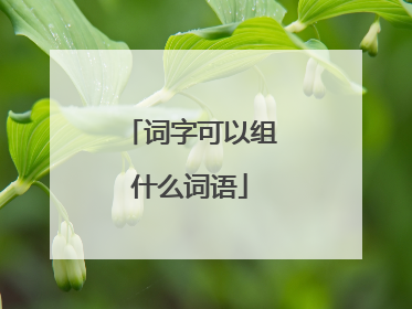 词字可以组什么词语