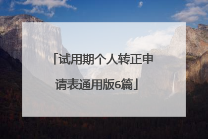试用期个人转正申请表通用版6篇