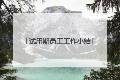 试用期员工工作小结