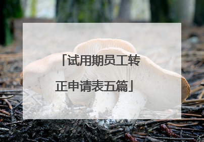 试用期员工转正申请表五篇
