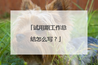 试用期工作总结怎么写?