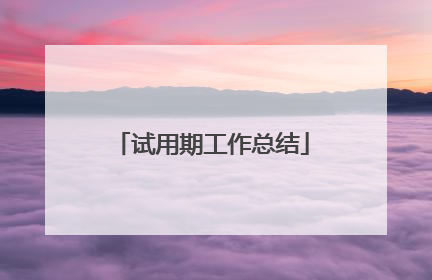 试用期工作总结