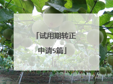 试用期转正申请5篇