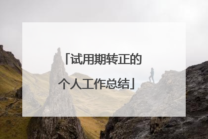 试用期转正的个人工作总结