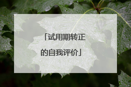试用期转正的自我评价