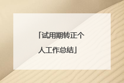 试用期转正个人工作总结