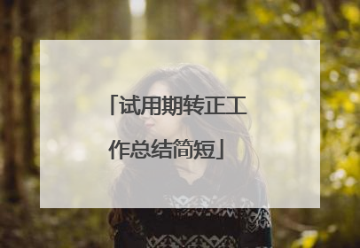 试用期转正工作总结简短