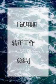 试用期转正工作总结