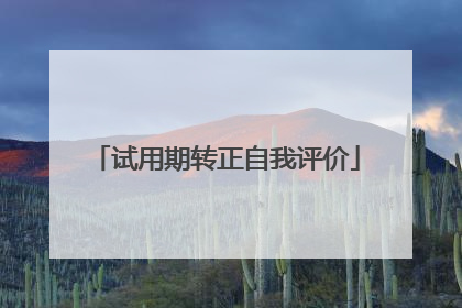 试用期转正自我评价