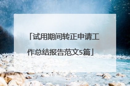 试用期间转正申请工作总结报告范文5篇