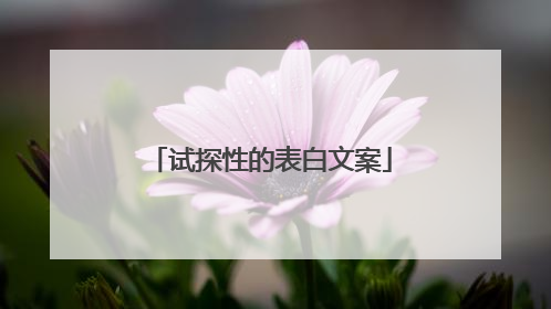 试探性的表白文案