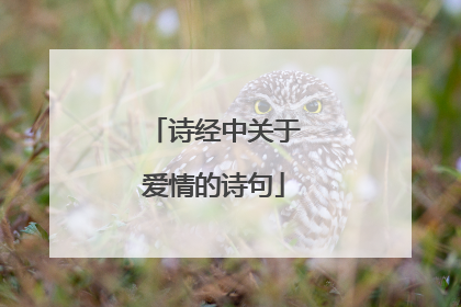 诗经中关于爱情的诗句