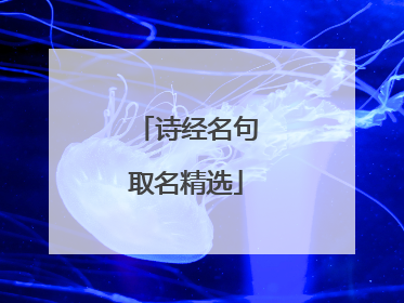诗经名句取名精选