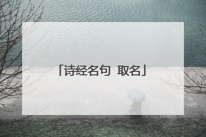 诗经名句 取名