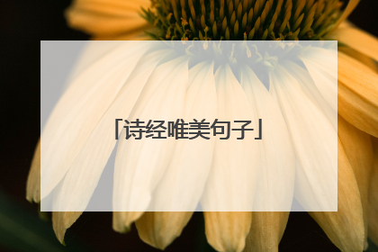 诗经唯美句子