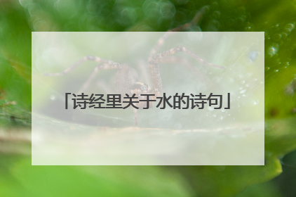 诗经里关于水的诗句