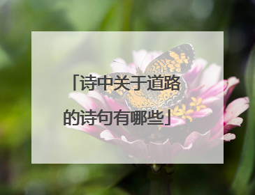 诗中关于道路的诗句有哪些