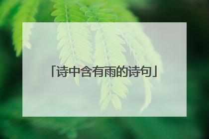 诗中含有雨的诗句