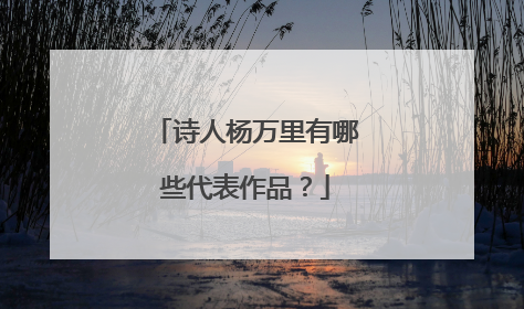 诗人杨万里有哪些代表作品？