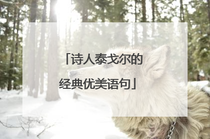 诗人泰戈尔的经典优美语句