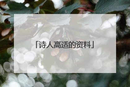 诗人高适的资料