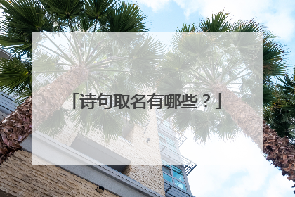 诗句取名有哪些？