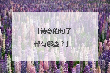 诗意的句子都有哪些?