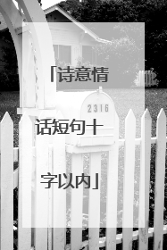 诗意情话短句十字以内