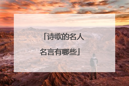 诗歌的名人名言有哪些