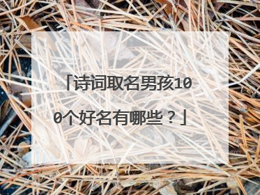 诗词取名男孩100个好名有哪些?