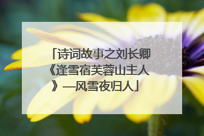 诗词故事之刘长卿《逢雪宿芙蓉山主人》——风雪夜归人