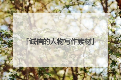 诚信的人物写作素材