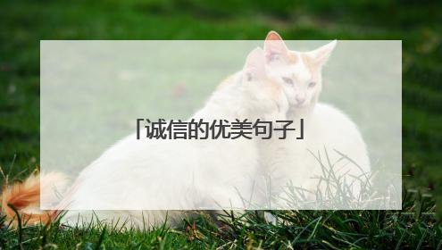 诚信的优美句子