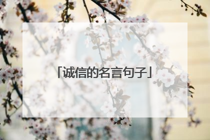诚信的名言句子